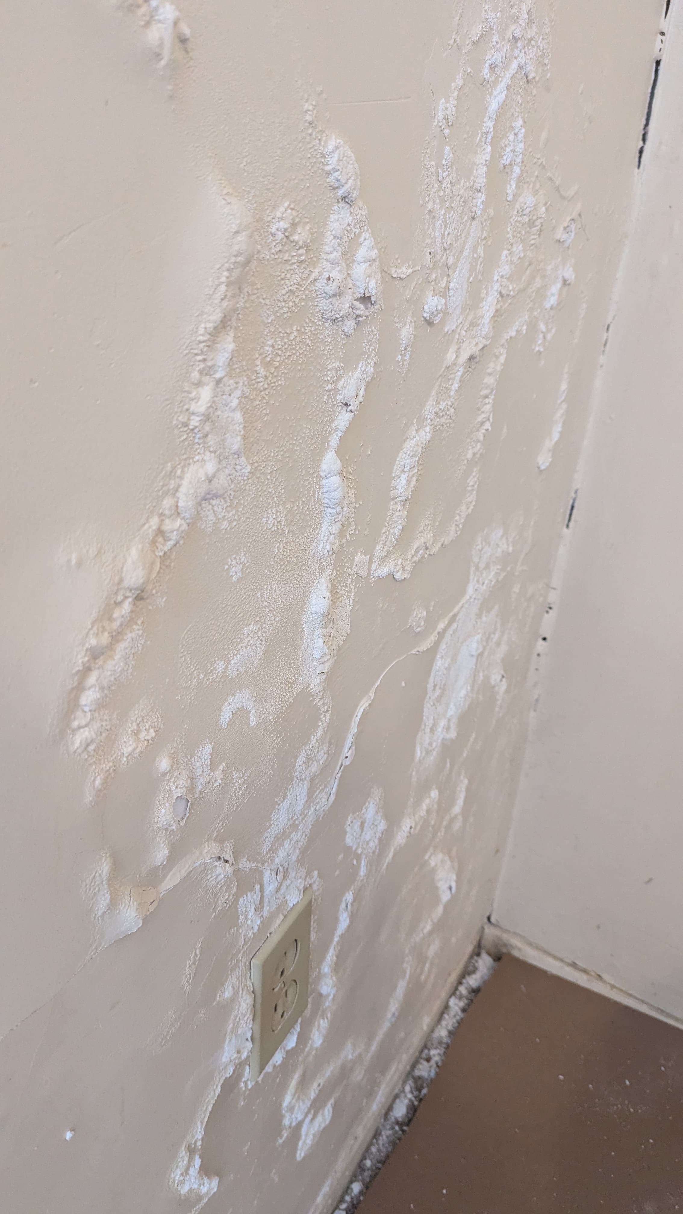 One Bedroom Repair